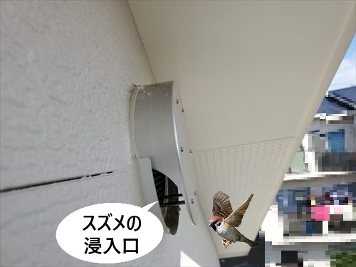 換気ガラリ　すずめ　浸入口